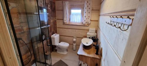 a small bathroom with a toilet and a shower at Góralski Dom z pięknymi widokami na góry in Sosnówka