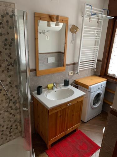 a bathroom with a sink and a washing machine at Appartamento Esprit Des Alpes in Canazei