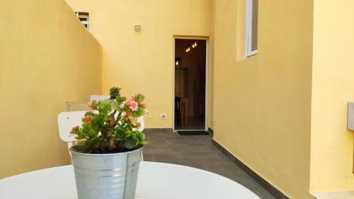 a potted plant sitting on a table in a hallway at Lo Strullo in Pisa