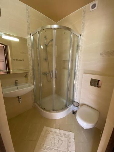 a bathroom with a shower and a toilet and a sink at Приватна садиба Європа in Solochin