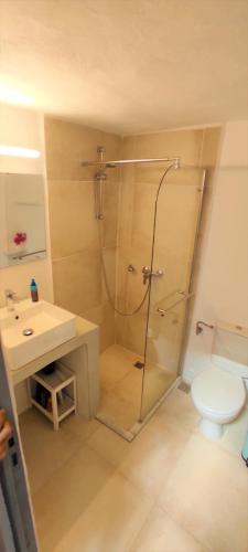 a bathroom with a shower and a toilet and a sink at Bougainvillea Typical Town House - Private Rooftop in Mikonos