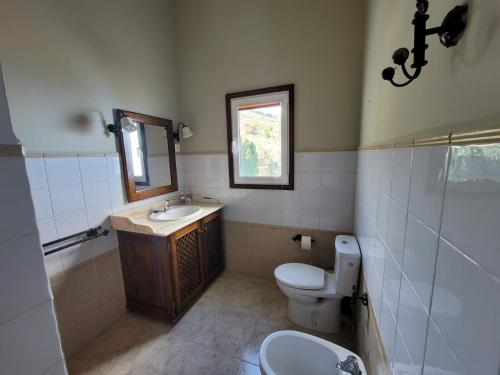 a bathroom with a toilet and a sink and a mirror at Sitio la era in Fuencaliente de la Palma