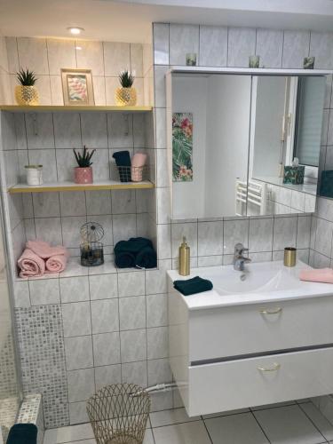 ein Badezimmer mit Waschbecken und Spiegel in der Unterkunft LE TOUT JOLI NID BEAUNOIS, Studio Plein centre parking in Beaune