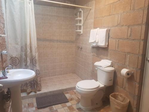 a bathroom with a toilet and a sink and a shower at Hotel La Cabaña in San Miguel de Allende