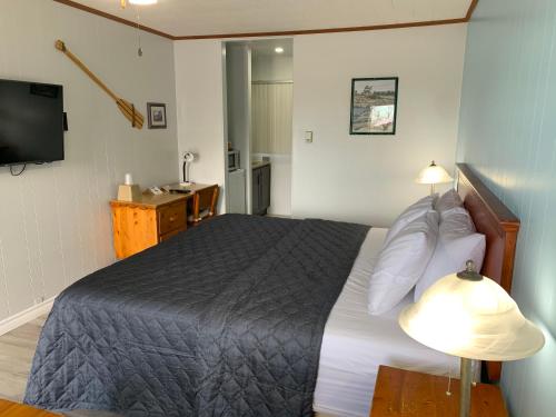 a bedroom with a bed and a desk and a television at Town & Country Motel in Parry Sound