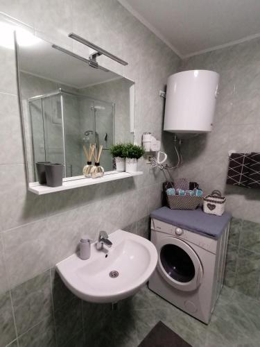 a bathroom with a sink and a washing machine at Apartments Pepe in Novigrad Istria