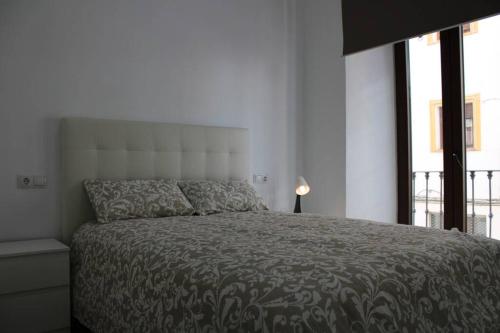 Postel nebo postele na pokoji v ubytování Apartamento centro Lorenzo Borrego