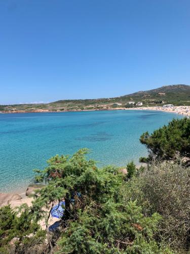 a view of a beach with trees and water at Le ciliegie: appartamento moderno Isola Rossa in Isola Rossa