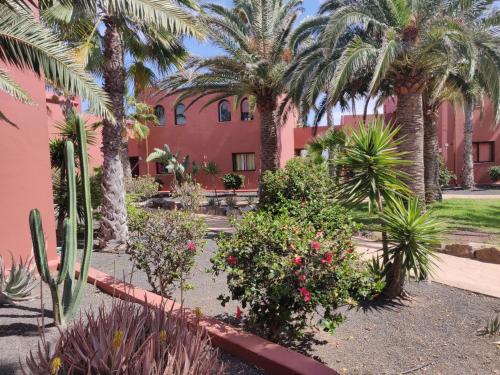 Corralejo Oasis Tamarindo Poppins Pool e Terrace