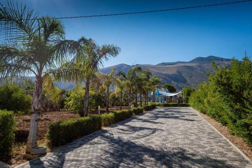 a path with palm trees and mountains in the background at BLU House Wellness & SPA in Castellammare del Golfo