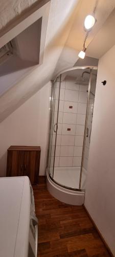 W łazience znajduje się prysznic ze szklanymi drzwiami. w obiekcie Süße kleine Ferienwohnung w mieście Pirna