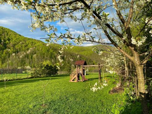 Naturlandschaft in der Nähe der Pension
