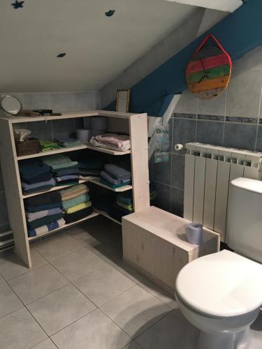 a bathroom with a white toilet in a room at La Chambre Du Voyageur in Soustons