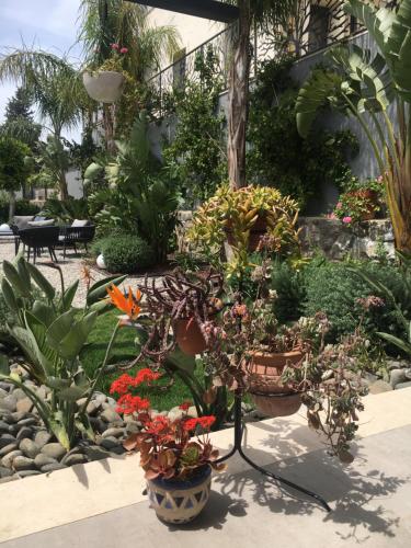 a garden with pots of plants and flowers at Villa Oliva Butik Hotel in Bodrum City