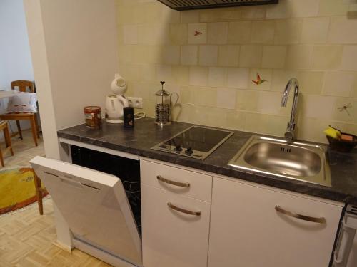 a kitchen with a sink and a counter top at Homely Apartment in the Center with Garden View in Gmunden