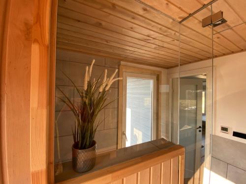 a potted plant sitting on a window ledge in a room at Cozy house with sauna by the lake in Lokuti