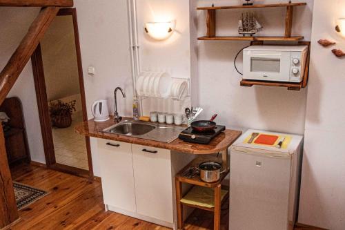 eine kleine Küche mit einer Spüle und einer Mikrowelle in der Unterkunft Stajnia Swarzewo in Swarzewo