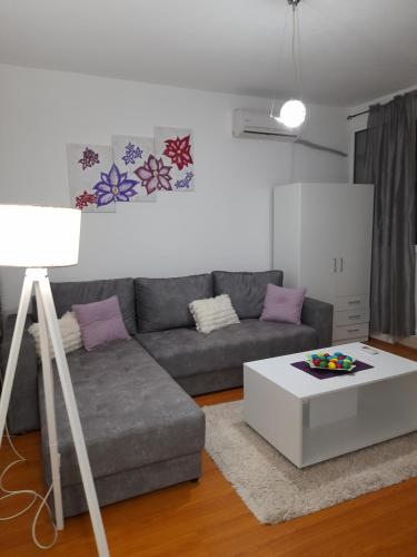 Una sala de estar con un sofá y una mesa de café. en Rudolf apartmani, en Soko Banja