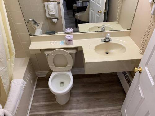 a bathroom with a toilet and a sink and a mirror at Rogers Motel in Smiths Falls