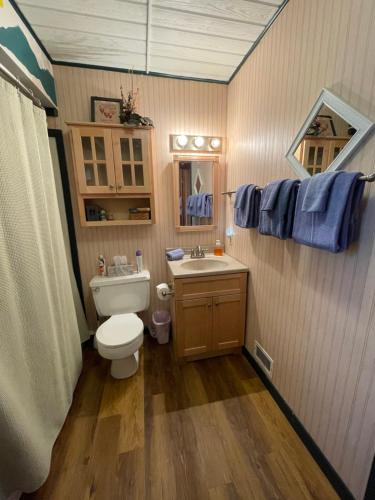 a bathroom with a toilet and a sink and blue towels at Mittenwald in Bessemer