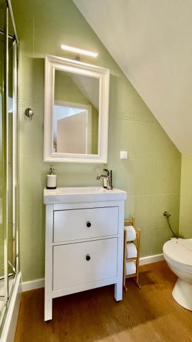 a bathroom with a sink and a mirror and a toilet at Jaszowianka Best For You in Ustroń