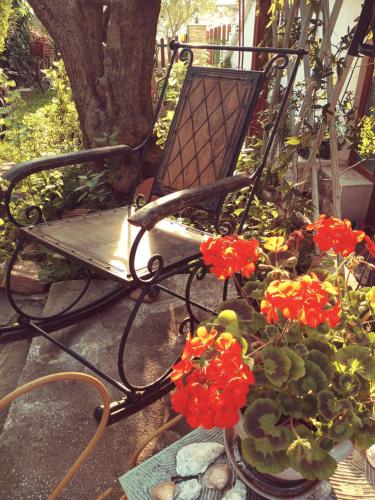 a bench with red flowers and a potted plant at oniron in Sidhirókastron