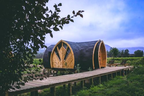 a large wooden iguana house in a field at Colchagua Tiny Lodge in Santa Cruz