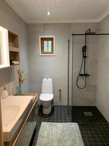 a bathroom with a toilet and a sink and a shower at Villa Taikuri in Kyläniemi