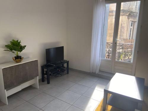 - un salon avec une télévision et une table avec une plante dans l'établissement Appartement confort centre-ville St Roch, à Montpellier