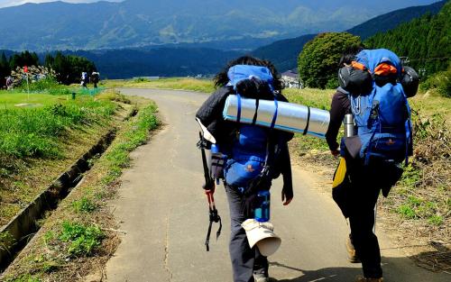 アパートメントの近くで見られる自然の景観