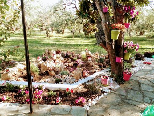 a group of chickens in a garden around a tree at Chrisella Villa in Skala Rachoniou