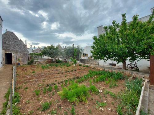 a garden with some plants in a yard at il trullo di giada e mattia in Alberobello