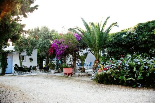 Imagen de la galería de Prasino Oniro, en Tinos