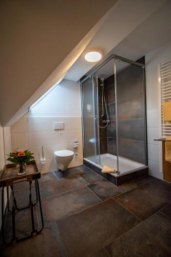 a bathroom with a toilet and a glass shower at Ferienwohnung Altes Forsthaus Hella in Grebenhain