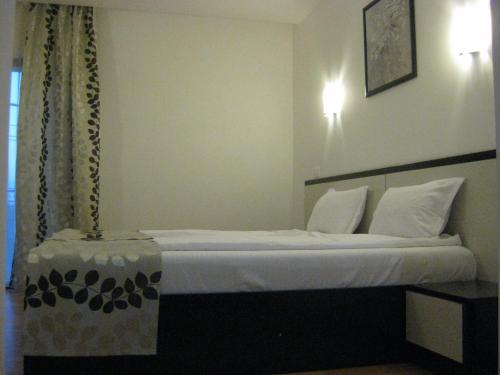 Gallery image of Hotel Anina in Techirghiol