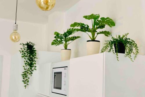 una habitación con plantas en la parte superior de un armario blanco en Roof Top Luxury City Center Apartment, en Torremolinos