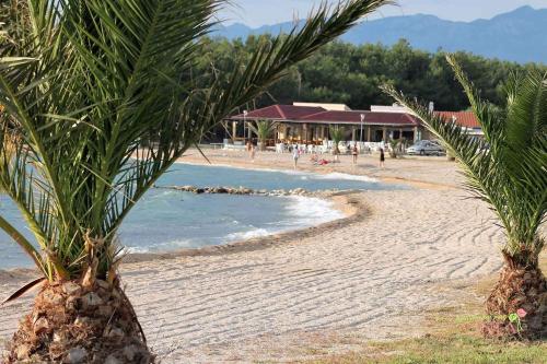 a beach with palm trees and people in the water at Apartment Povljana 1 in Povljana