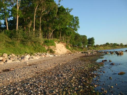 a beach with rocks and trees on the shore at Aparthotel Museumshof in Fehmarn