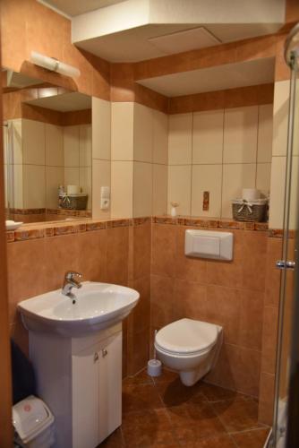 カルパチにあるKarkonoska 12のバスルーム(白いトイレ、シンク付)