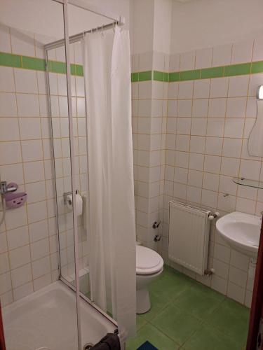 y baño con ducha, aseo y lavamanos. en Szent Kristóf Apartmanhotel en Zalaegerszeg