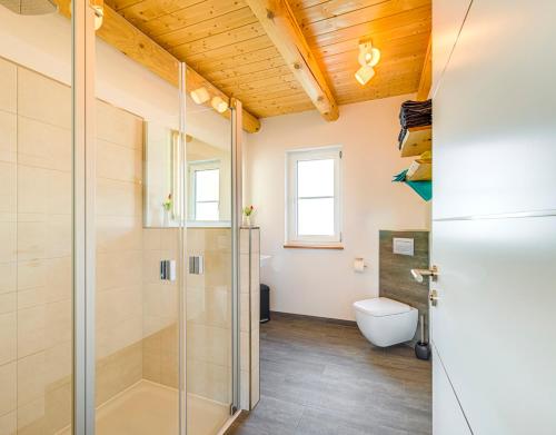 a bathroom with a shower and a toilet at Sankt Georgimühle in Kallmünz