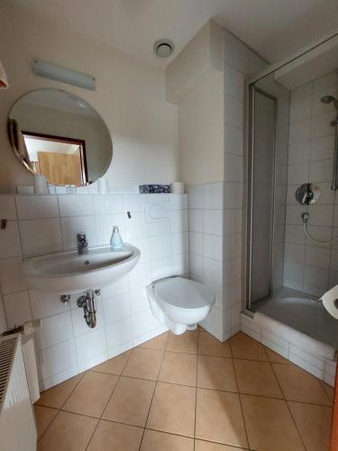 a bathroom with a sink and a toilet and a shower at Landhaus Waldeshöhe in Baiersbronn