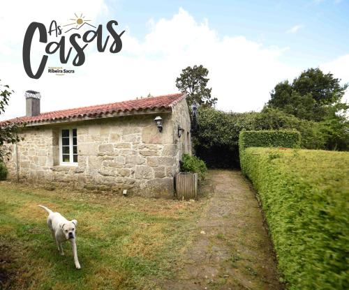 Haiwan peliharaan atau haiwan-haiwan peliharaan yang menginap dengan tetamu di As Casas Ribeira Sacra