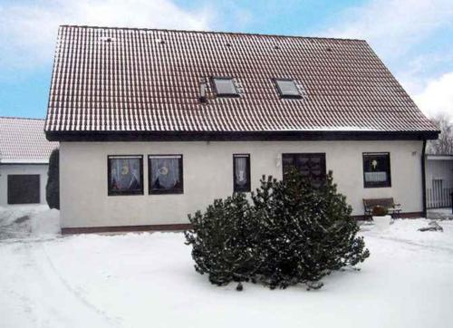 ein Haus mit einem Weihnachtsbaum im Schnee in der Unterkunft Apartment Altenkirchen 2 in Altenkirchen