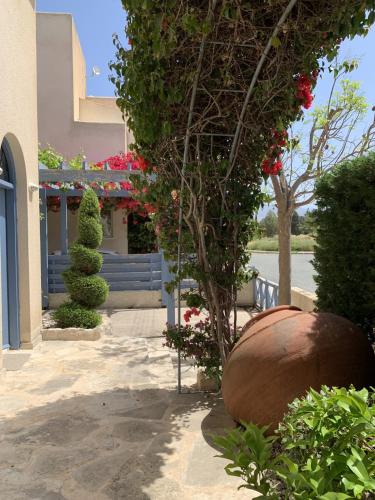 Zahrada ubytování Polis Beach Villa