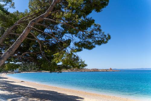 a beach with a tree and blue water at Valamar Meteor Hotel in Makarska