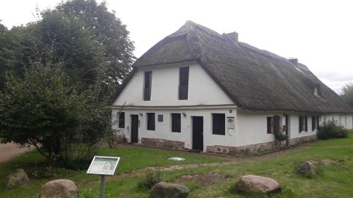 Casa blanca grande con techo de paja en Ferienwohnung Am Skulpturenweg, en Hohen Demzin