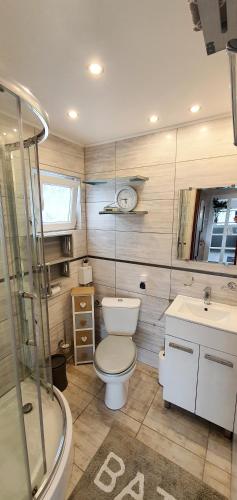a bathroom with a toilet and a sink and a shower at Wolnostojący dom na dużym prywatnym terenie -pet friendly- in Lubin