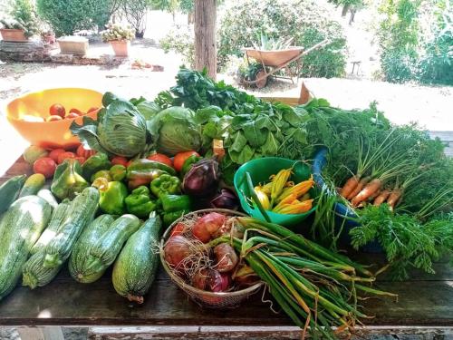 a bunch of vegetables sitting on a wooden table at Il Casale di Aquarubra in Celleno