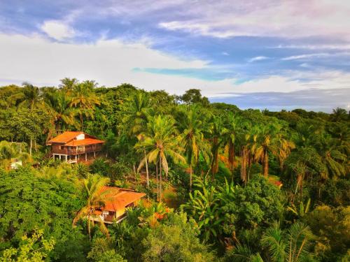 a house in the middle of a forest with palm trees at Pousada Horizonte Azul in Ilha de Boipeba